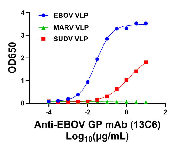 Mouse anti-EBOV GP mAb (13C6) - Figure 1 of 1