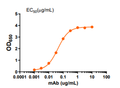anti-MARV GP macaque-derived chimeric mAb (R80) - Figure 1 of 1