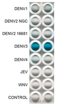 Anti-Dengue Virus serotype 3 Antibody, DE9 - Figure 1 of 1