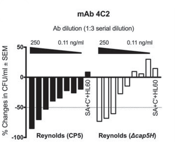 Monoclonal antibodies (murine IgG1) CP5 -backbone specific 4C2 - Figure 1 of 1