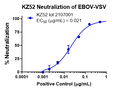 Human anti-EBOV GP mAb (KZ52) - Figure 1 of 1