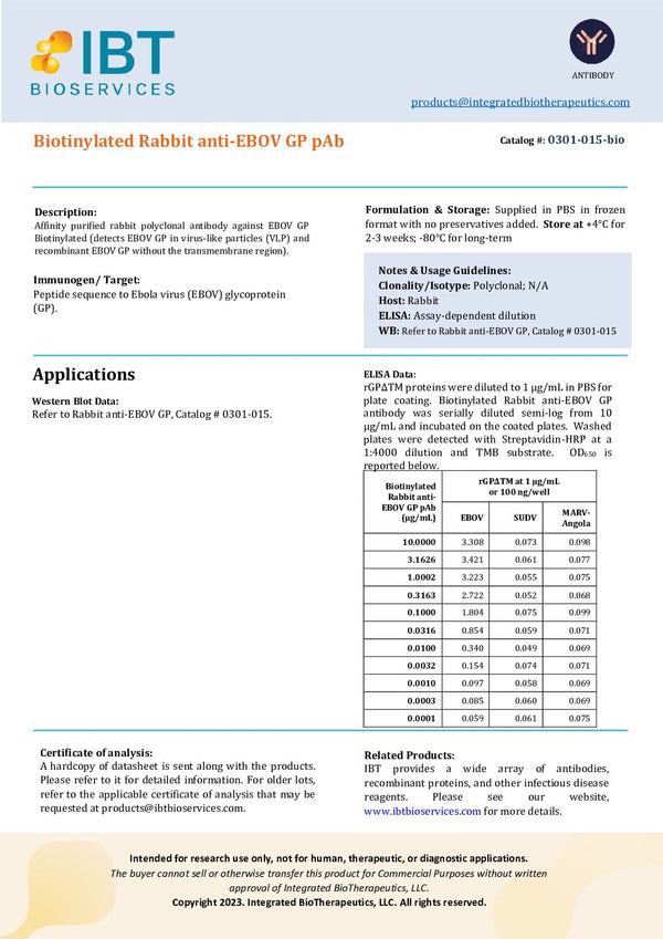 Rabbit anti-MARV GP pAb Biotinylated - Figure 1 of 1