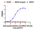Rabbit anti-EBOV GP pAb Biotinylated - Figure 1 of 1