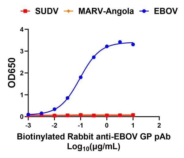 Rabbit anti-EBOV GP pAb Biotinylated - Figure 1 of 1