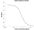 Polyclonal Rabbit IgG - Anti-CP5-EPA - Figure 1 of 1