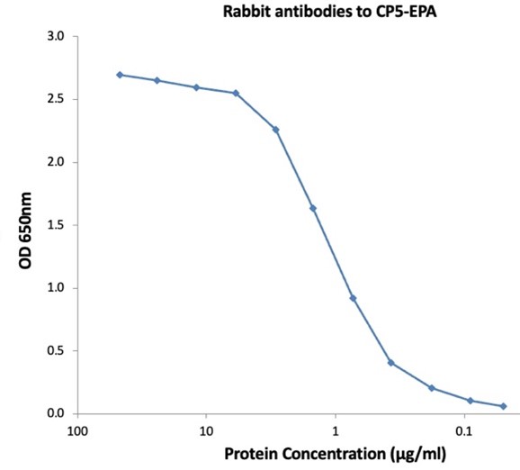 Polyclonal Rabbit IgG - Anti-CP5-EPA - Figure 1 of 1