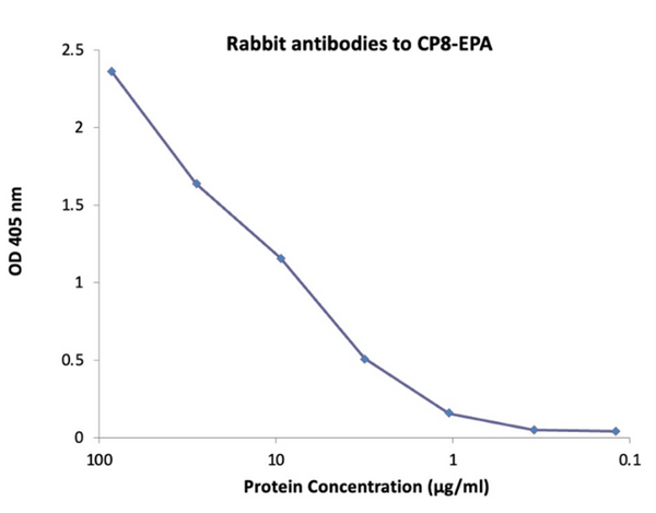 Polyclonal Rabbit IgG – Anti-CP8-EPA - Figure 1 of 1