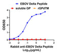 Rabbit anti-EBOV Delta Peptide - Figure 1 of 1