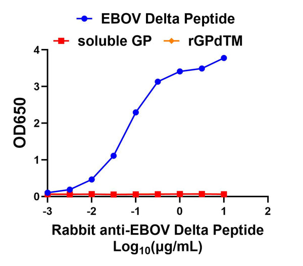Rabbit anti-EBOV Delta Peptide - Figure 1 of 1