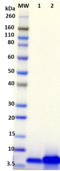 Ebola virus Delta Peptide - Figure 1 of 1