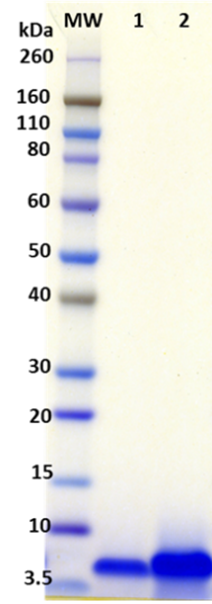 Ebola virus Delta Peptide - Figure 1 of 1