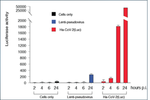 Severe Acute Respiratory Syndrome Corona Virus 2-like particles (Ha-CoV-2), BQ.1.1 - Figure 1 of 1
