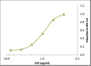 S. Aureus Purified CP5 - Figure 1 of 1