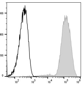 APC Anti-Mouse/Human CD11b Antibody[M1/70] – Figure 1 of 2