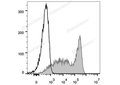 FITC Anti-Mouse CD90.2/Thy1.2 Antibody[30H12] – Figure 1 of 2