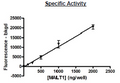 MALT1, FLAG-Tag (Mouse) Recombinant – Figure 1 of 3