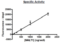MALT1, FLAG-Tag (Mouse) Recombinant – Figure 1 of 3