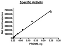 PRDM9, GST-Tag Recombinant – Figure 1 of 2