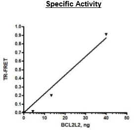 BCL2L2, His-Tag Recombinant – Figure 1 of 3