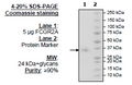 FCGR2A, Avi-His-Tag Recombinant – Figure 1 of 2