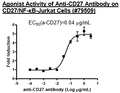 Anti-CD27 Agonist Antibody – Figure 1 of 1