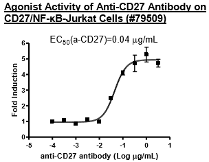 Anti-CD27 Agonist Antibody – Figure 1 of 1