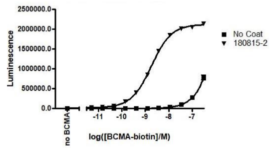 Anti-BCMA Single-Chain Variable Fragment, His-Tag Molecule – Figure 1 of 2
