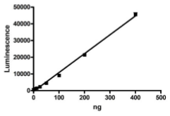 ALK2 (ACVR1), FLAG-Tag, Avi-Tag, Biotin-Labeled Recombinant – Figure 1 of 2