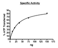 PDGFRα (D842Y), GST-Tag Recombinant – Figure 1 of 2