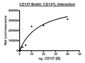 CD137L (4-1BB Ligand), His-Avi-Tag Recombinant – Figure 1 of 2