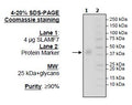 SLAMF7, Avi-His-Tag HiP™ Recombinant – Figure 1 of 1
