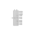 BAFF-R, Fc-fusion (IgG1), Avi-Tag, Biotin-labeled Recombinant – Figure 1 of 2