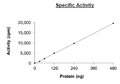 RIPK1, GST-Tag (Mouse) Recombinant – Figure 1 of 4