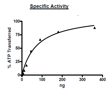 FGFR2, DEL (429-430), His-Tag (Dephosphorylated) Recombinant – Figure 1 of 2