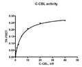 c-CBL, GST-Tag Recombinant – Figure 1 of 2