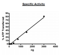 UBE1, GST-Tag Recombinant – Figure 1 of 2
