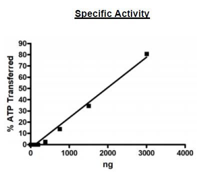 UBE1, GST-Tag Recombinant – Figure 1 of 2