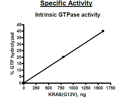 KRAS (G12V), Isoform B, His-Tag Recombinant – Figure 1 of 4