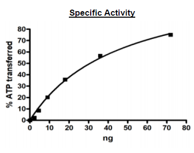 DYRK1B, GST-tag Recombinant – Figure 1 of 2