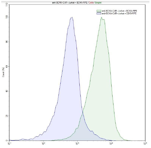 BCMA, Fc-Fusion, Avi-Tag, PE-Labeled Recombinant – Figure 1 of 4