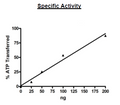GSKα, GST-Tag, His-tag Recombinant – Figure 1 of 2