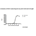 Anti-CD20-Anti-CD3 IgM format Bispecific Antibody – Figure 1 of 3