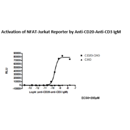 Anti-CD20-Anti-CD3 IgM format Bispecific Antibody – Figure 1 of 3