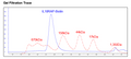 IL18RAP, Fc Fusion (lgG1), Avi-Tag HiP™ Recombinant – Figure 1 of 1