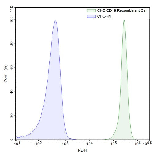 FluoSite™ Anti-CD19 Antibody, PE-Labeled – Figure 1 of 1