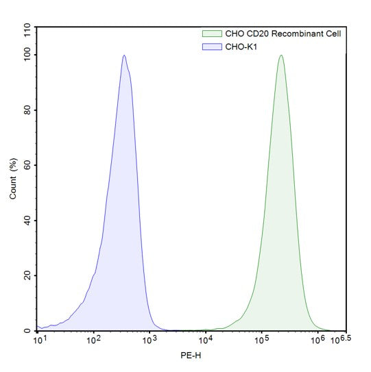 FluoSite™ Anti-CD20 Antibody, PE-Labeled – Figure 1 of 1