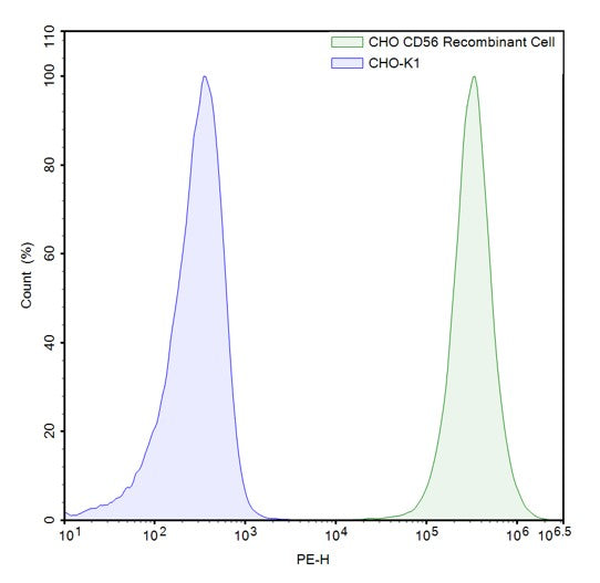 FluoSite™ Anti-NCAM1 Antibody, PE-Labeled – Figure 1 of 1