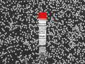 Mouse Peripheral Blood Mononuclear Cells (mPBMCs) – Figure 1 of 1