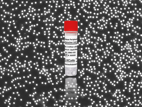 Mouse Peripheral Blood Mononuclear Cells (mPBMCs) – Figure 1 of 1
