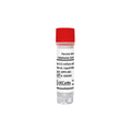 Porcine Aorta Endothelial Cells (PAEC)
